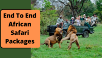 End To End African Safari Packages