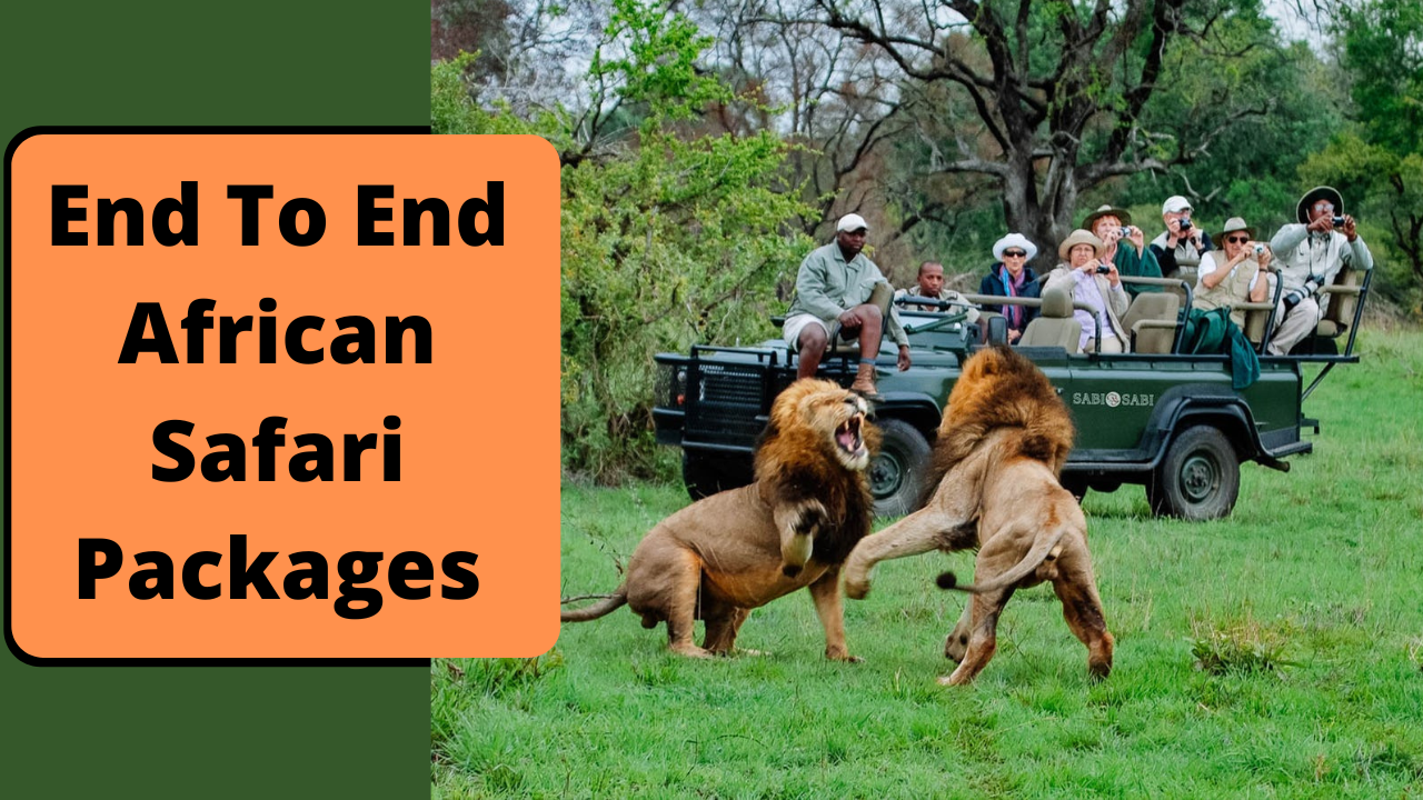End To End African Safari Packages