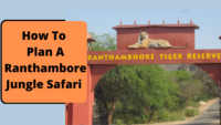 How To Plan A Ranthambore Jungle Safari
