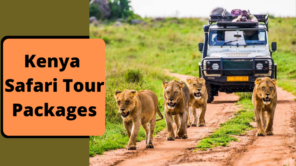 Kenya Safari Tour Packages