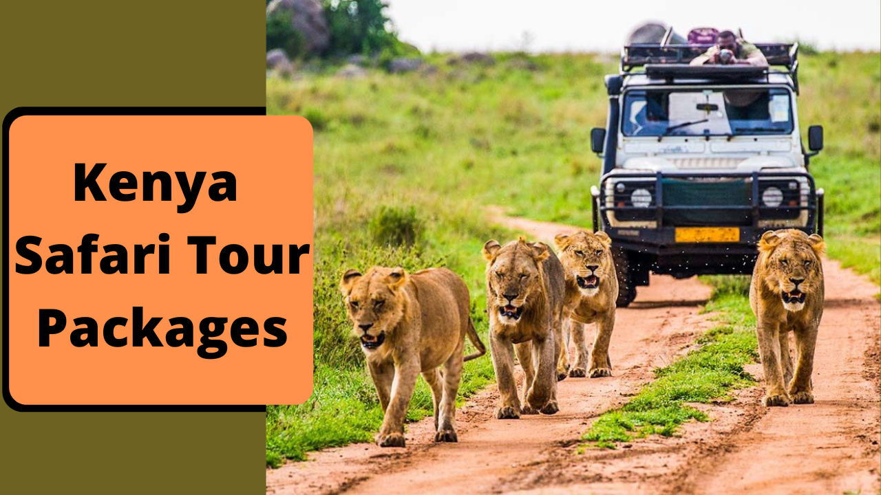 Kenya safari Tour Packages