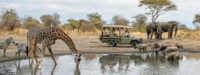 African Safari Packages