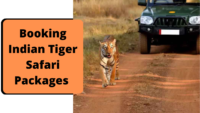 Booking Indian Tiger Safari Packages