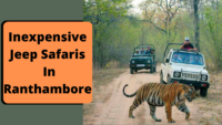 how to book Inexpensive Jeep Safaris In Ranthambore National Park