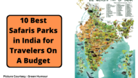 10 Best Safaris in India for travelers on a budget