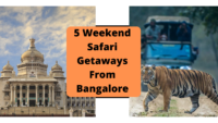 5 weekend safari getaways from Bangalore