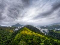 silent valley national park