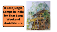 8 Best Jungle Camps in India for That Long Weekend Amid Nature