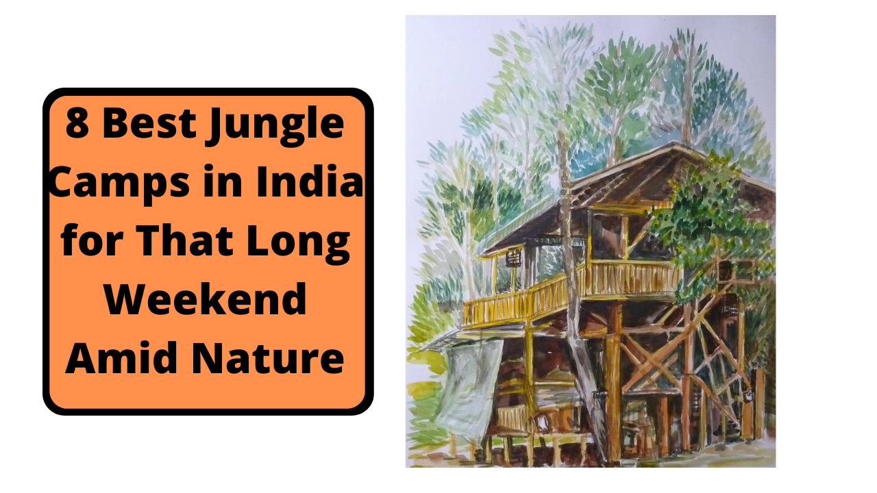 8 Best Jungle Camps in India for That Long Weekend Amid Nature