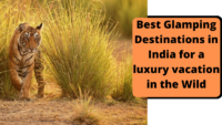 Best Glamping Destinations in India for a luxury vacation in the Wild