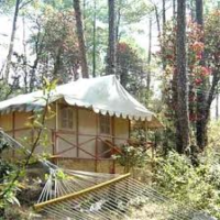 Camp Potter Hill - Shimla
