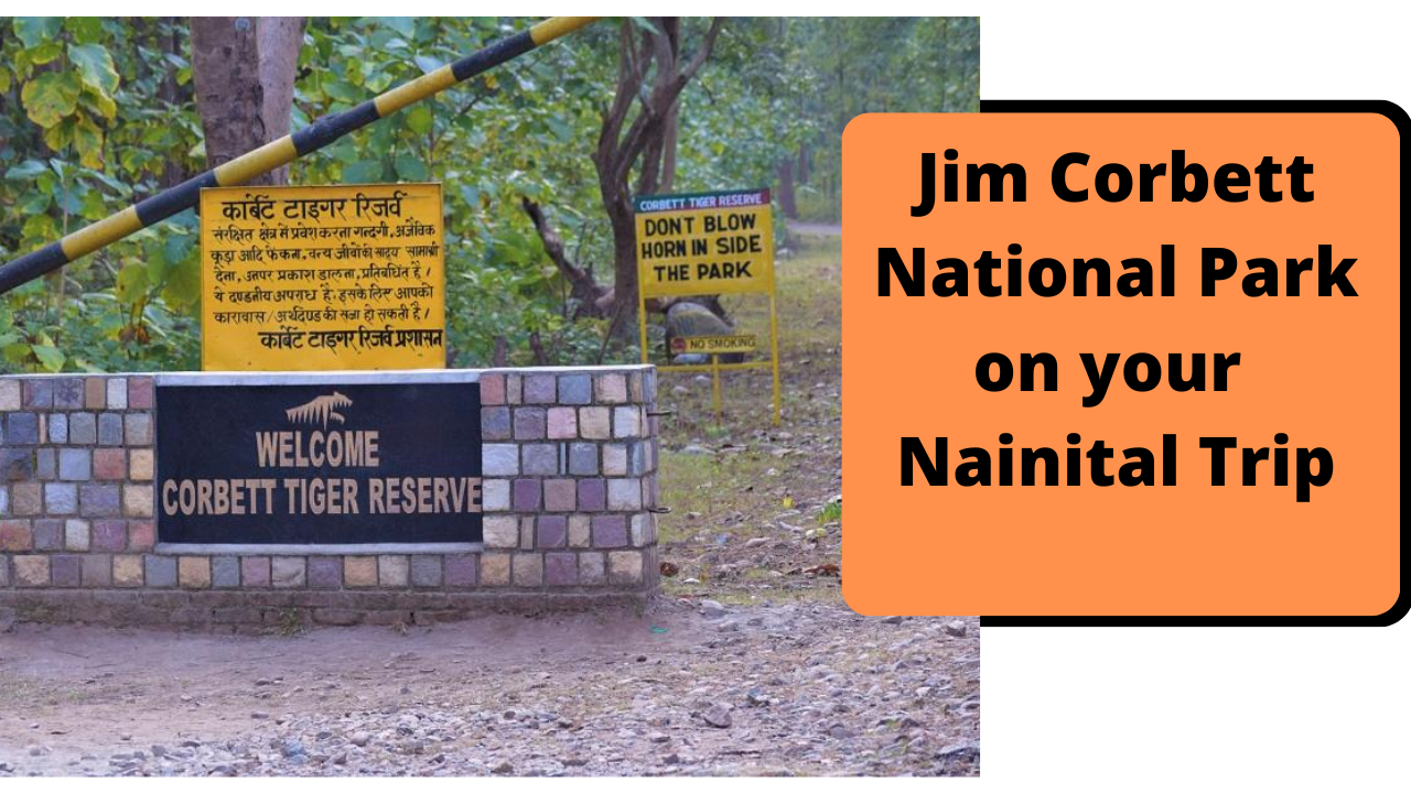 Jim Corbett National Park on your Nainital trip
