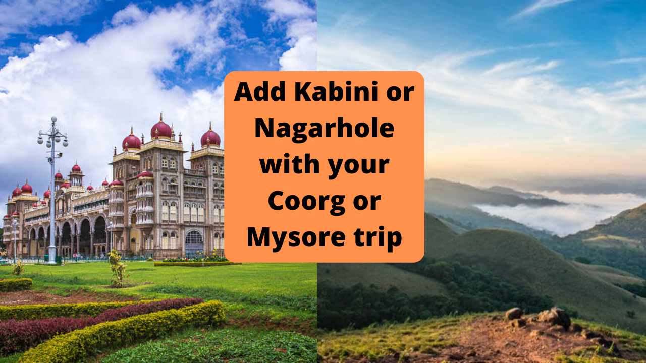 Add Kabini or Nagarhole with your Coorg or Mysore trip