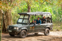 Kabini safari
