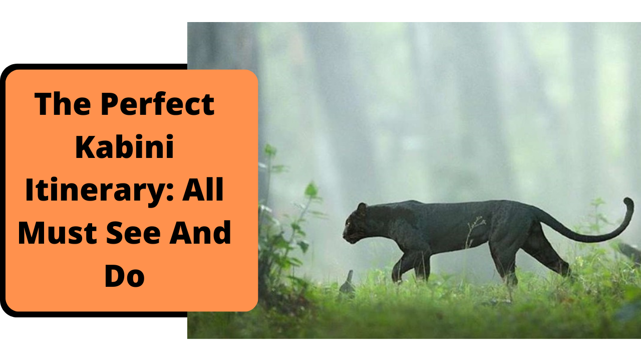The Perfect Kabini Itinerary All Must See And Do