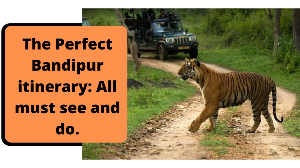 The perfect Bandipur itinerary: All must see and do