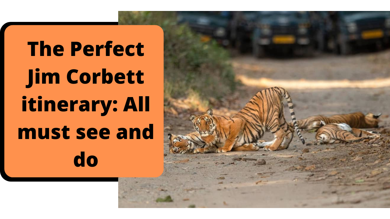 The perfect Jim Corbett itinerary