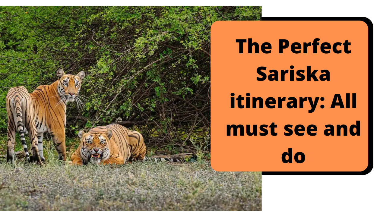 Sariska National park