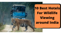10 Best Hotels For Wildlife Viewing around India