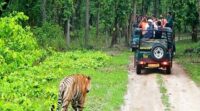 Jeep safari At Nagarhole